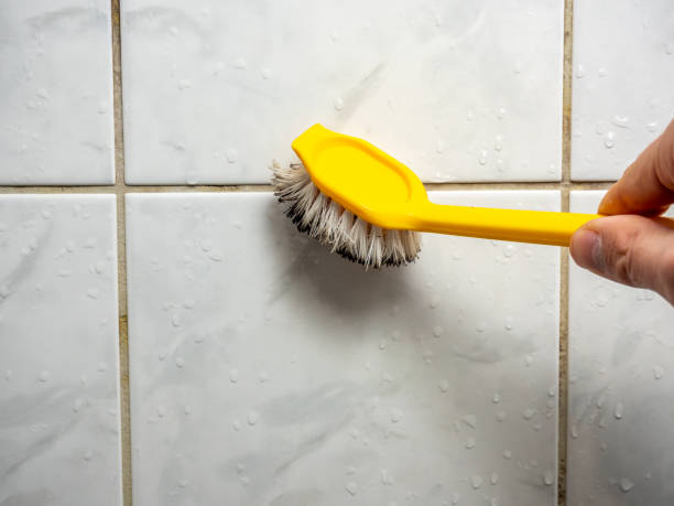 Trusted Alice, TX Mold Removal Experts